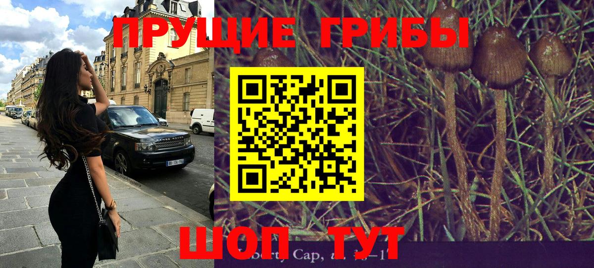 Псилоцибиновые грибы Psilocybine cubensis  Вход с VPN  Орск  купить   Галлюциногенные грибы MAGIC MUSHROOMS 