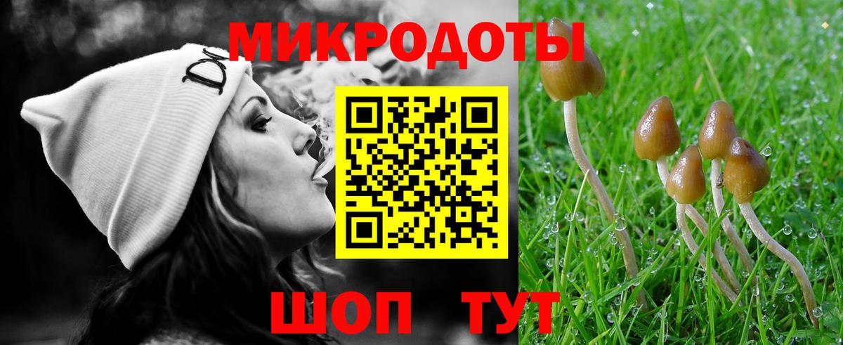 Псилоцибиновые грибы мицелий Орск
